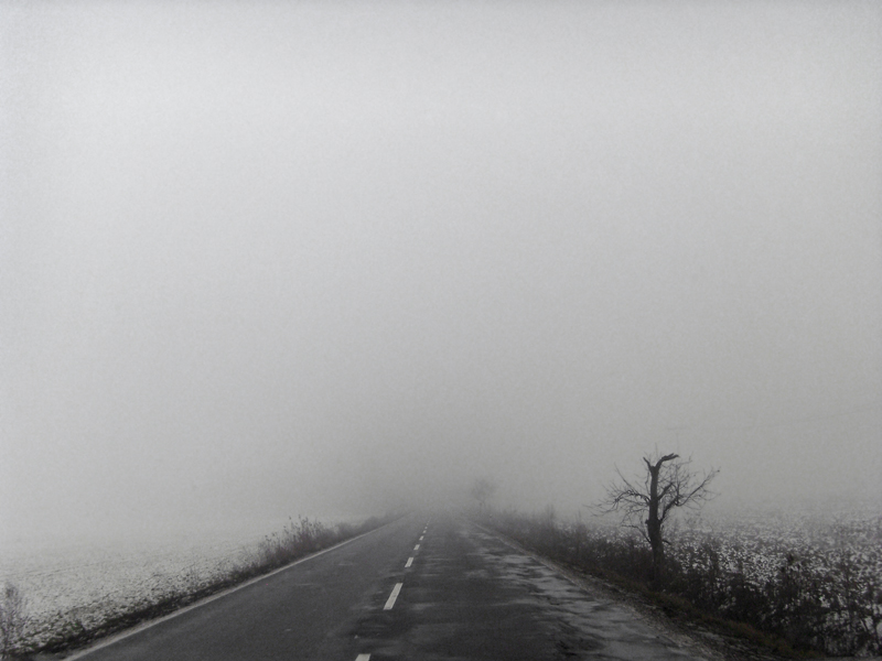 Renata Vogl in the mist